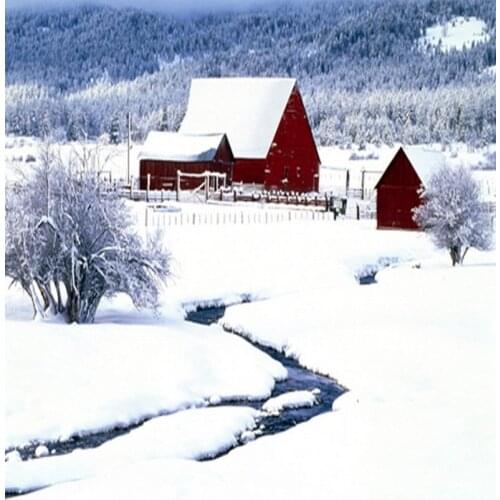 Winter White Snow House Tree Photography Backdrops Photo Props Studio Background 5x7ft