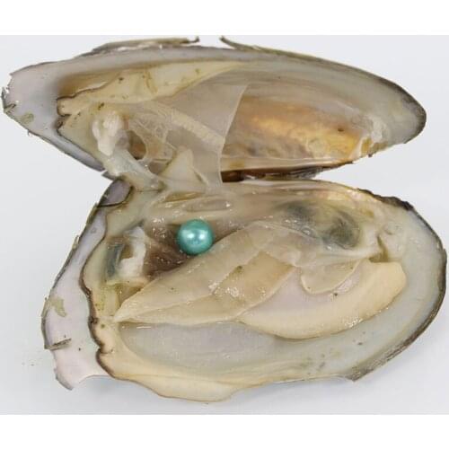 7-8MM AAA Grade One Round Pearls In Saltwater Oysters 20pcs Akoya Oysters 28 Colors Love Wish Pearl Gifts Green AR028