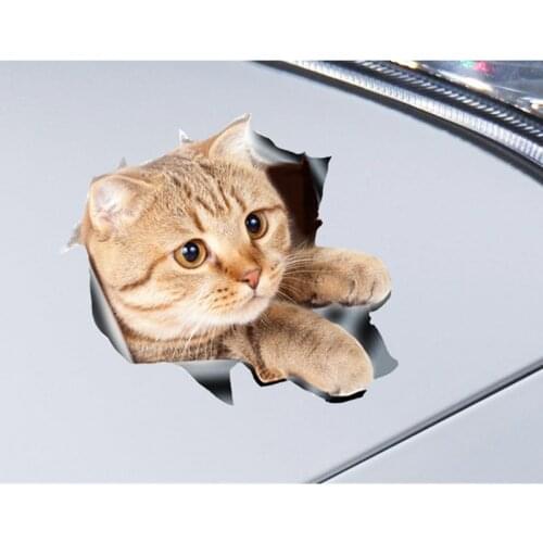 Car Sticker Animal Kitten Cat 3D Funny Personality Simulation Motorcycle Decoration Auto Decals Car Styling Accessories