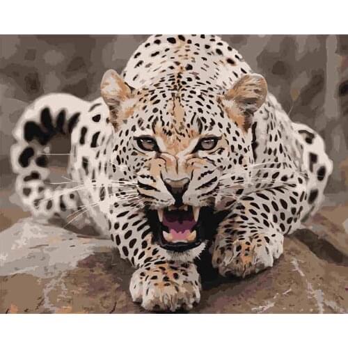 Oil Painting Paint By Numbers For Adults Color By Number Decoration LivingroomBallet Zero Foundationnew Painter Gift