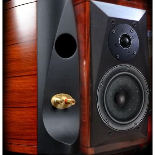 A pair of custom speakers