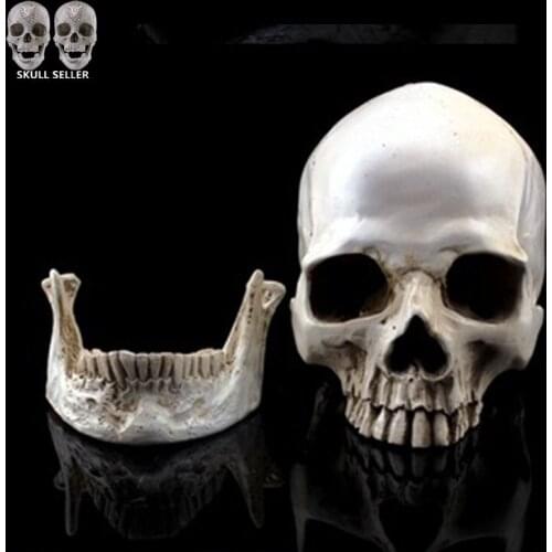 [MGT] P-Flame simulation skull model 1:1 resin skull separate squat decoration medical painting special props decoration crafts