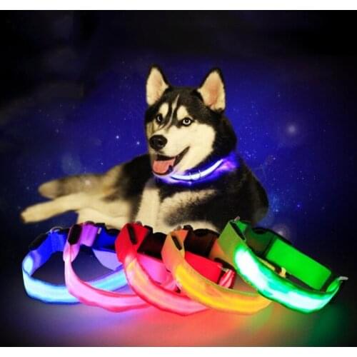 Dogs Collar Pet Light Up Collar (removable Electronic Device ) Seatbelt Polyester Buckle Neck Strap For Dogs