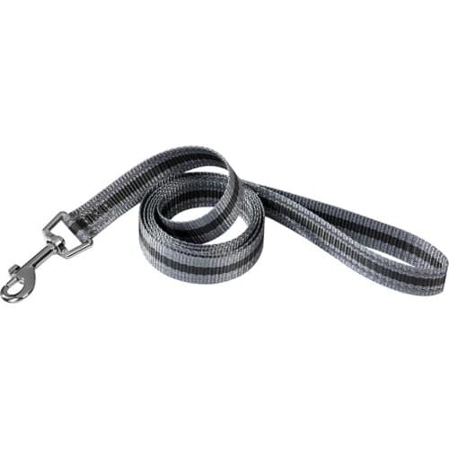 Polyester Detachable Luminous Reflective Dog Leash For Training, Large And Medium Dog Walking Leashot