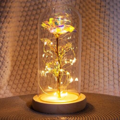 Christmas decorations LED string lights Everlasting Flower Glass Cover Rose Valentines Day Gift Creative Decoration