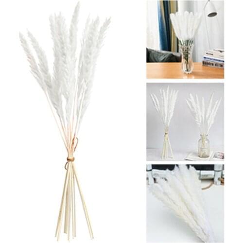 Large Wedding flowers bunch natural Reed Dried Flowers Natural Plant Dried Flower Bouquet Decoration Family Wedding Decor