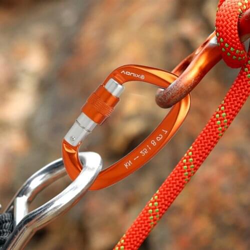 25KN Mountaineering Rock Climbing Carabiner D Shape Safety Master Screw Lock Buckle Outdoor Caving Equipment