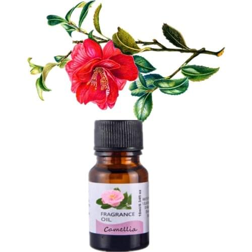 10ml Camellia Fragrance Oil 10ML Diffuser Aroma Essential Oil Longevity flower Rose Peony Orchid Water lilies Winter jasmine