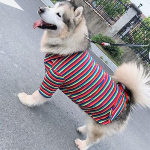 Dog T-shirt Small Dog Clothes Big Large Dog Clothing Tee Shirt Corgi Samoyed Husky Labrador Golden Retriever Costume Pet Outfit