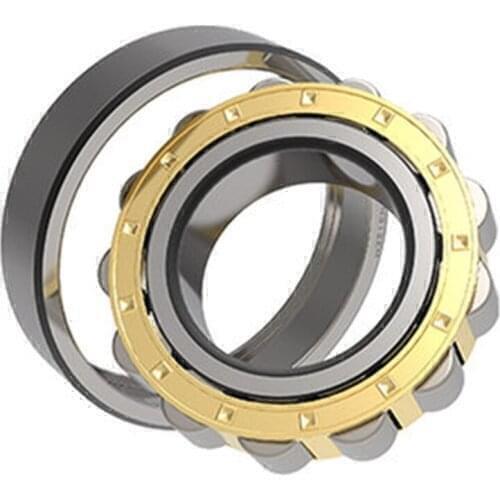 China Cylindrical Roller Bearings NU2228/2230