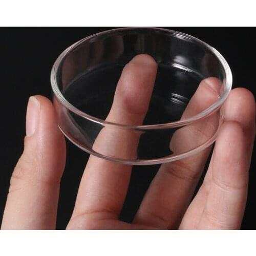 Clear Glass Shrimp Food Round Dishes Small Fish Feeding Bowl Ornamental Supplies