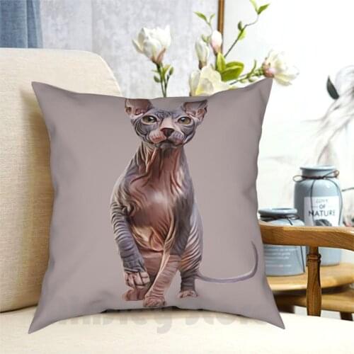 Drawing Sphynx Kitten , Hairless Pillow Case Printed Home Soft Throw Pillow Cat Portrait Sphinx Graphic Animal Fashion