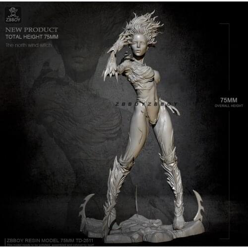 75MM Resin model kits Banshee figure self-assembled TD-2511