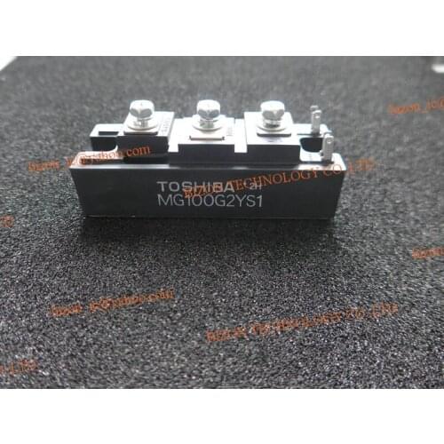 MG100G2YS1