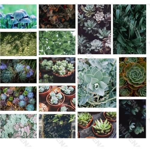 Diy Diamond Painting Plant Cactus Nordic Style Full Inlaid Diamond Handmade Dot Inlaid Diamond Bedroom Living Room Sticker