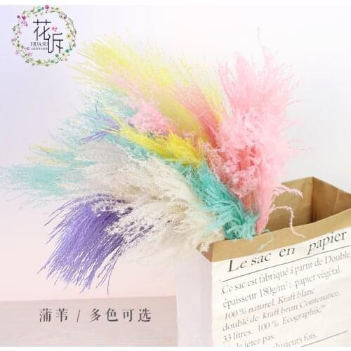 Pampas Grass Decor White Pink Color Fluffy Reed Flower Wedding Flowers Natural Plants Dried Flowers Bouquet Home Decor