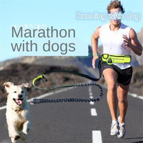 Pet supplies waterproof waist bag sports running traction rope multifunctional traction belt dog leash Can be used separately