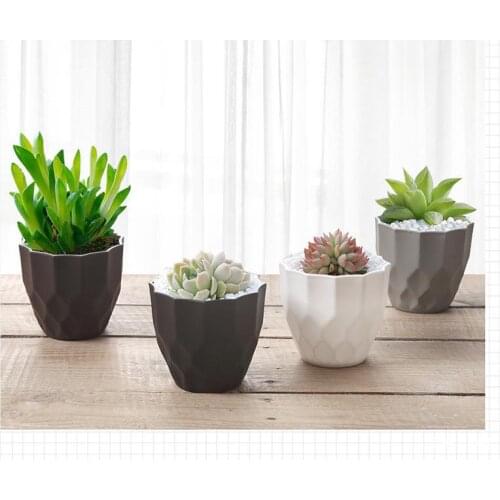 Frosted plastic flower pots, small flower pots, fleshy planting pots, desktop green plants, gardening pots, simple green radish