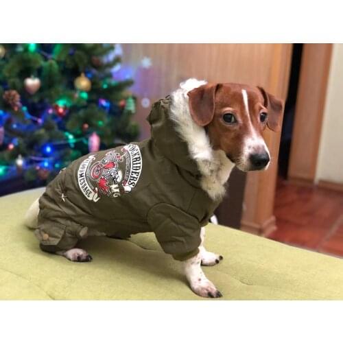 Pet Dog Clothes Russia Winter Warm Coat Jumpsuit Hoodie Thicken Cotton-Padded Pet Clothing For Teddy Dogs Costume Cat Clothes