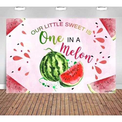 Watermelon Party Backdrop One In A Melon Birthday Party Photography Background Kids First Birthday Pink Party Banner Photocall