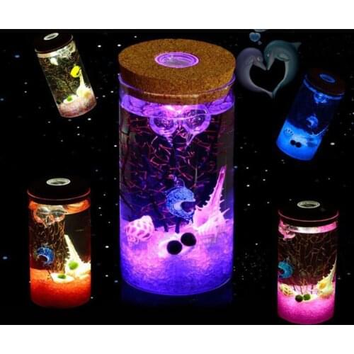 New Brand Colorful 12cm Glass Bottle Jar LED Terrariums Wish Bottle Night Light Aquarium Glass Bottle Night Light#264311