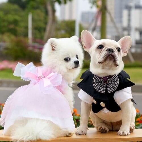 Pet Clothes Cat Wedding Dress Bridegroom Wedding Suit Bow Tie Summer Princess Skirt for Small Dogs Cat Costume Ropa Para Perro