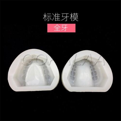 2pc/set Dental Plaster Model Mold Mould of Edentulous Jaw Complete Cavity Block Full teeth