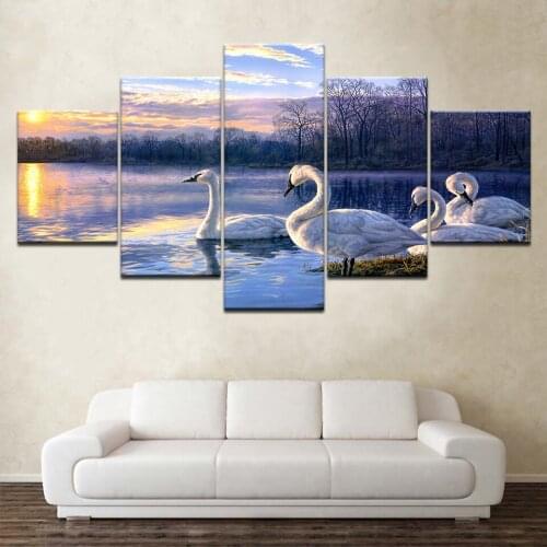 White Goose swimming sunset river 5 Piece Canvas Wallpapers modern Modular Poster art Canvas painting for Living Room Home Decor