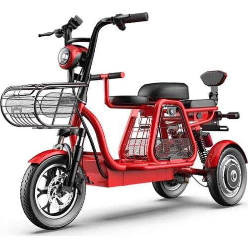 Adult Electric Tricycle Three Wheels Electric Bicycles 500W 48V 120KM Powerful Electric Bike With Removable Battery