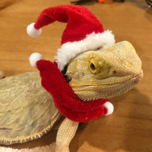 Bearded Dragon Lizard Santa Hat with Elastic Chin Strap+Scarf+Traction Rope Christmas Costume Set Xmas Reptile Apparel Clothes O