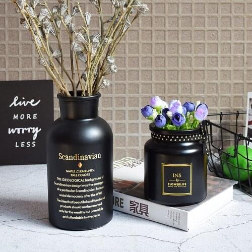 Scandinavian Glass Vase Black White Elegance Dry Flower Bottle Chic Ins Nordic Floral Storage Jar Christmas Party Decor Vase