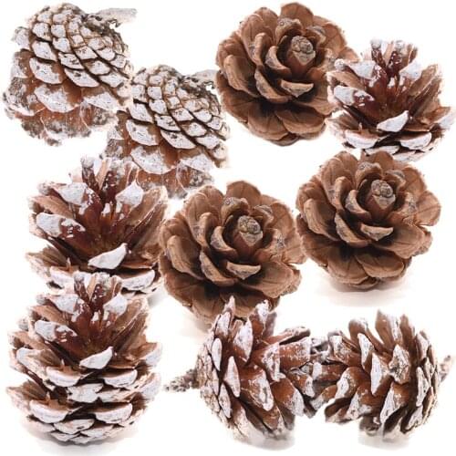 PineCones 3 to 4cm Natural Pine Cones for Christmas Tree Decor Fall Thanksgiving Xmas Ornament Decoration In Bulk Nut 10/20 Pack