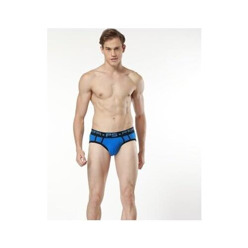 New arrival Brand PINKY SENSON sexy Mens gay Underwear sexy Sleepwear panties Man fashion mesh underpants solid briefs 4colors