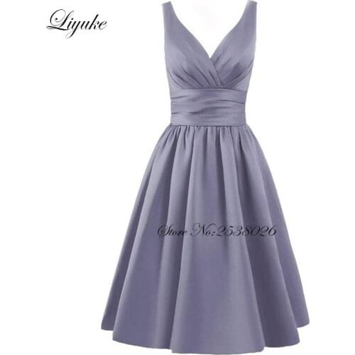 Liyuke V-neck Women Dresses