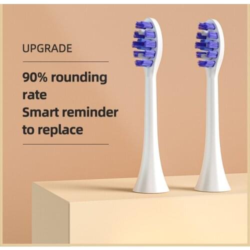 Kiwibird Toothbrush Head Food-grade Dupont Bristles With Color Changing Indicator Electric Toothbrush Repalcement Head For Clean