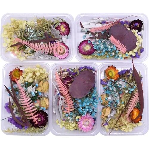 1 Box Hybrid Real Dried Flowers Plant for Aromatherapy Candle Epoxy Resin Pendant Necklace Jewelry Making Craft DIY Accessories
