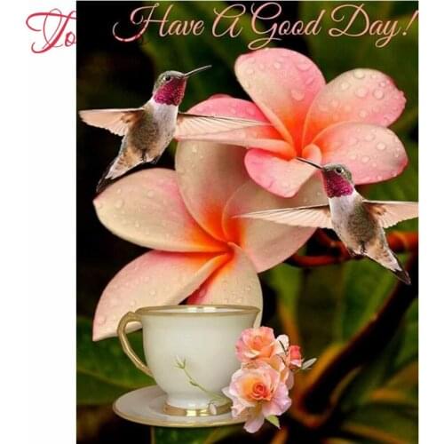 TOUOILP 100% Full 5D Diy Daimond Painting Hummingbird, flower Rhinestones Diamant Painting Embroidery Scenery