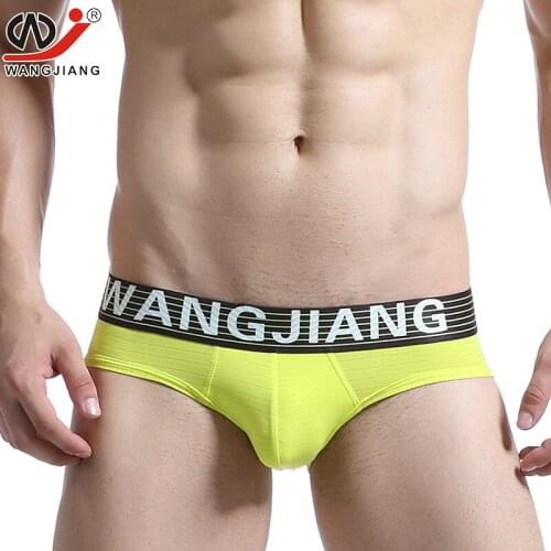 2017 new style Brand WJ gay underwear ice silk underwear ultra-thin translucent sexy mens triangle briefs sexy underpants