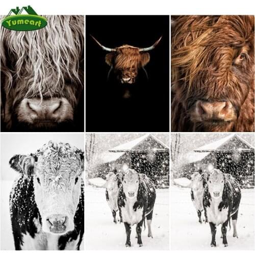 Diamond Painting by Number Black and White Highland Cow Cross Stitch Full Drill Animal Bull Diamond Embroidery Home Decor Gifts