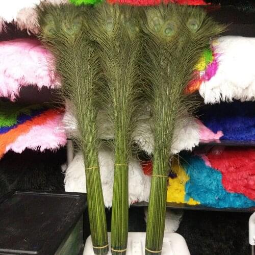 Wholesale 500 PCS Beautiful 32-36inch/80-90cm Olive Green Natural Peacock Feathers For DIY Clothes Wedding Party Decoration