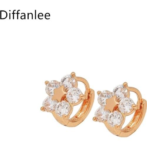 Zircon Jewelry Rose Gold Filled Hoop flower Womens Earring Fashion Crystal Jewelry Cut Zircon Wedding Jewelry