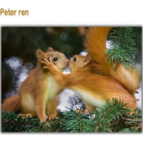 Peter ren Diy diamond painting Cross stitch kit diamond embroidery full 3d resin square drilldiamond mosaic The squirrels kiss