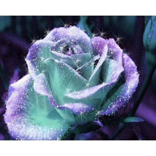 Full Square Round Diamond 5D DIY Diamond Painting Flower "Magic Rose"Diamond Embroidery Cross Stitch Rhinestone Mosaic Painting