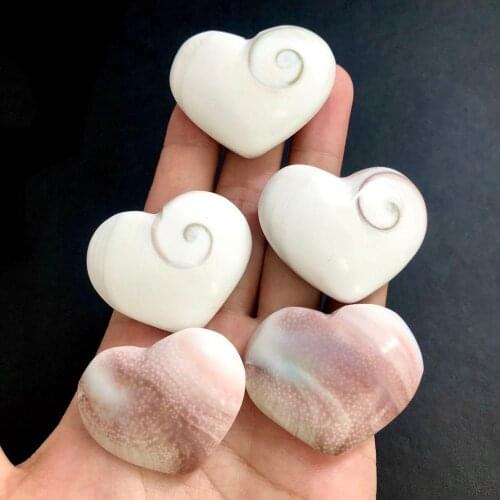 1pcs Natural Fossil Sun Shell Love DIY Mineral Specimen Collection Decoration