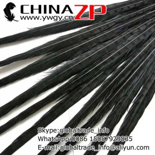 CHINAZP Factory 100pcs/lot Length Range 20-22inch(50-55cm) Dyed Black Ringneck Pheasant Tail Feathers