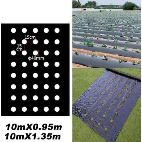 Plastic Film with Planting Holes Garden Weed Control Barrier Film Mulching Breathable Gardening Farming Landscape Sheeting for M