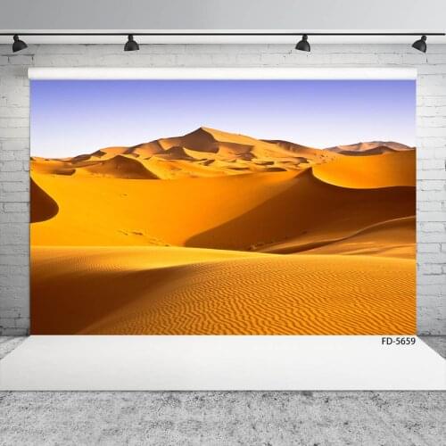 Desert Ripple Photo Backgrounds Computer Printed Photobooth Backdrop Photography Props for Baby Children Portrait Photophone