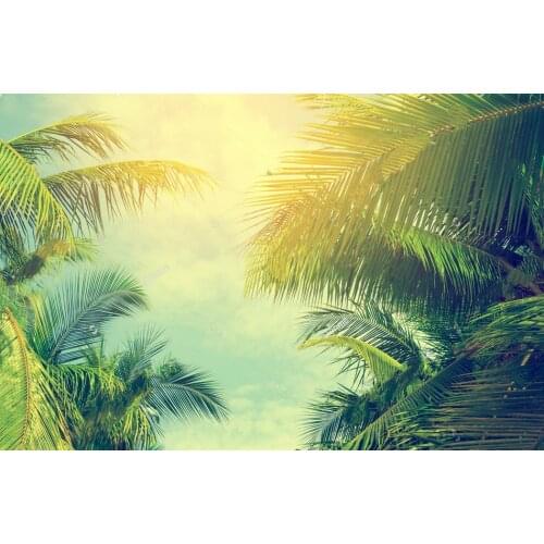 Summer Palm Trees Blue Sky Tropical Coast Vintage Toned Stylized retro background Vinyl cloth Computer print wall backdrop