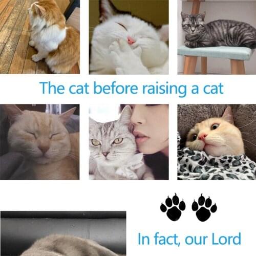 Cat scratch stick furniture protection suit sofa scratch stick