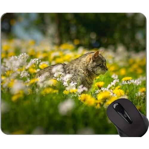 Mouse Pad with Stitched Edge,Pet cat dandelion Home Office Computer Accessories Mousepads